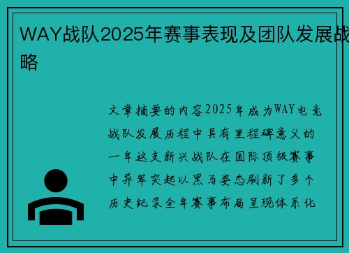 WAY战队2025年赛事表现及团队发展战略